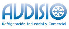 Audisio